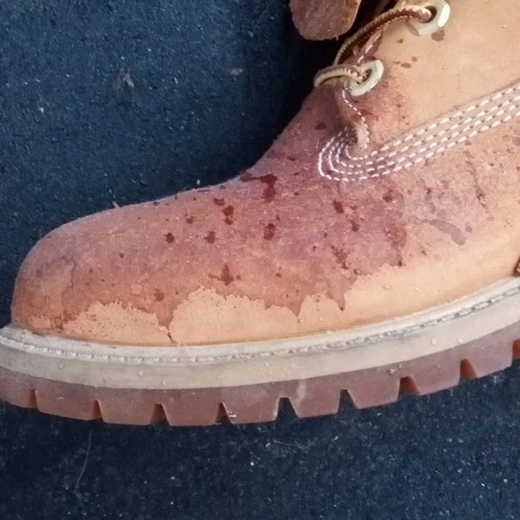 Timberland - Picture 6 of 8